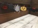 Halloween Decor "Raven"